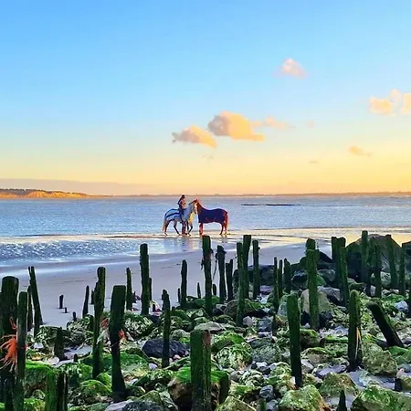 Apartman Petit Berck